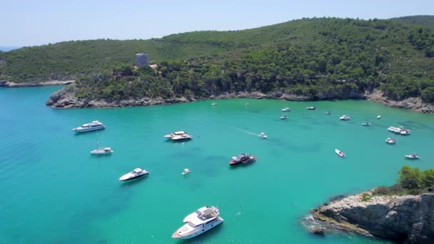 Aerial Coast Gargano Apulia Italy Summer — Vídeo de stock