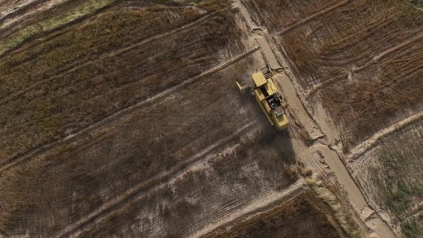 Aerial View Tractor Running Field — Video Stock