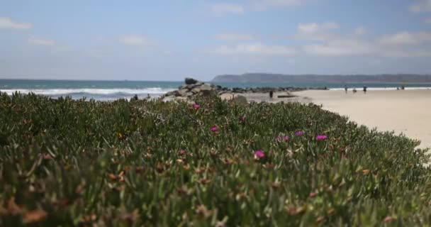 Plaża Coronado Island Ocean Kinematyczne Widoki Ludźmi Spacerujących Tle San — Wideo stockowe