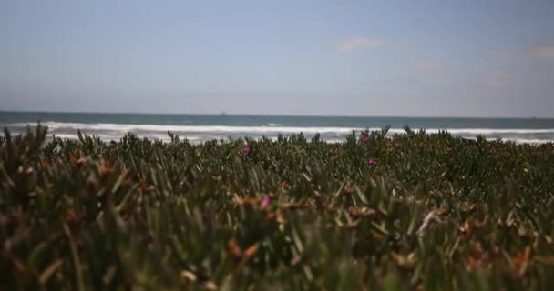 Coronado Central Beach Cinematic View Ocean San Diego California — Stok video