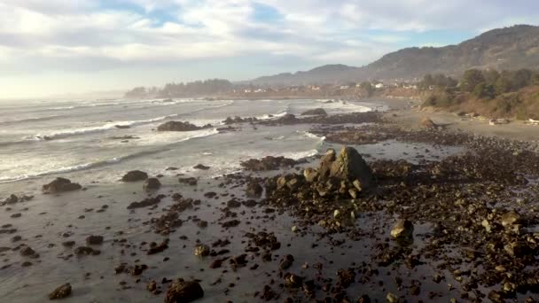 Mcvay Rock Brookings Oregon Beautiful Beach West Coast United States — Stok video