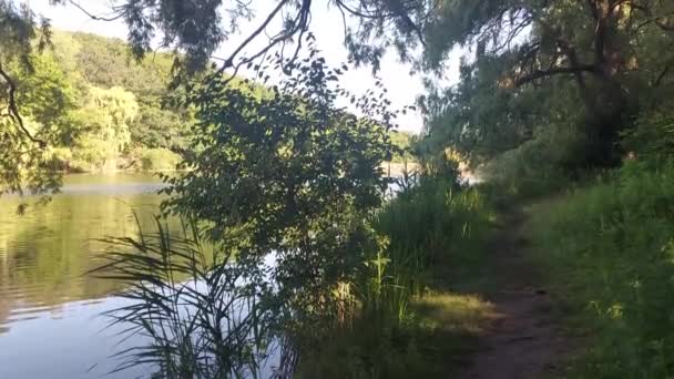 Beautiful Trail Alongside Lake — Vídeos de Stock