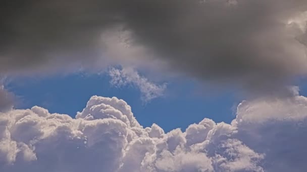 Picturesque Timelapse White Fluffy Clouds Moving Clear Blue Sky Daytime — Stock Video