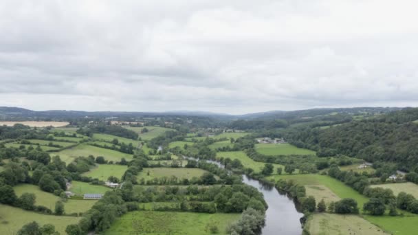 Kleine Groene Velden Van Groene Landbouwgrond Naast Kleine Landelijke Rivier — Stockvideo