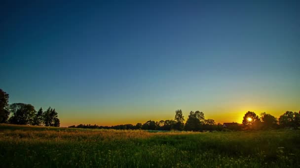 Timelapse Shot Beautiful Sunset Green Grasslands View Cottage Background Dusk — Wideo stockowe