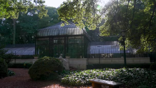 Establishing Shot Botanical Garden Glasshouse Glass Greenhouse Day — ストック動画