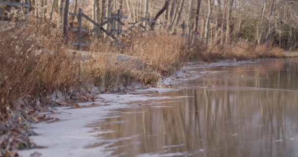 Wide Shot Frozen Lake Side Trail Golden Hour Snow Ice — Stock Video