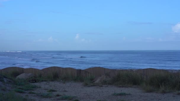 Dunes Ocean Coast Centro Portugal Furadouro Beach — Stok Video