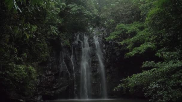 Scenic Ellinjaa Falls Ledge Waterfall Type Atherton Tableland Qld Australia — Stockvideo