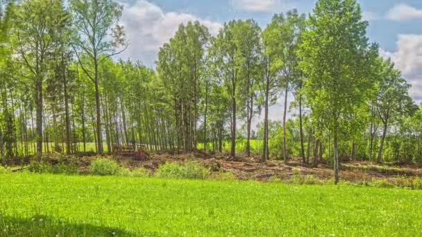 Wheeled Tractor Trailer Collecting Tree Log Summer Countryside Timelapse Wide — Stockvideo