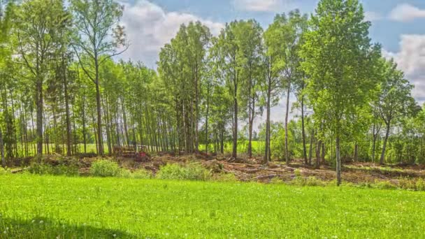 Wheeled Tractor Trailer Collecting Tree Log Summer Countryside Timelapse Wide — 图库视频影像