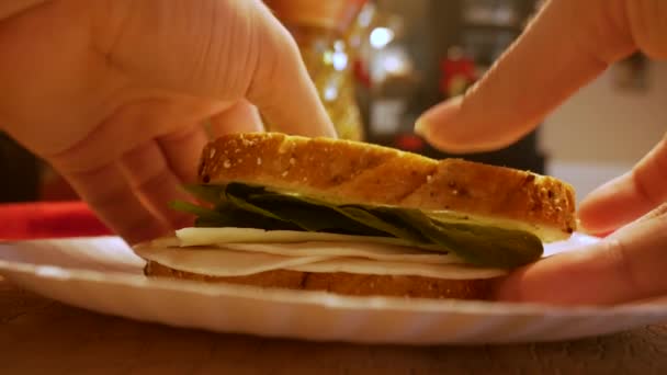 紙皿からサンドイッチを取り それから一口を取ります — ストック動画