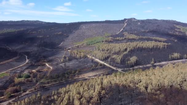 Karge Berglandschaft Nach Erloschenem Flächenbrand Sonnigen Tag Antenne — Stockvideo