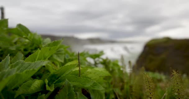 Cascate Gulfoss Islanda Con Video Gimbal Che Muove Zero Rallentatore — Video Stock