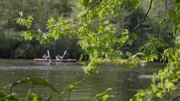 Filmreife Zeitlupenaufnahme Von Kajakfahrern Die Den Fluss Hinunterpaddeln — Stockvideo