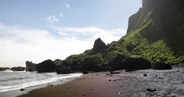 Black Sand Beach Vik Iceland Gimbal Video Walking — Vídeo de stock