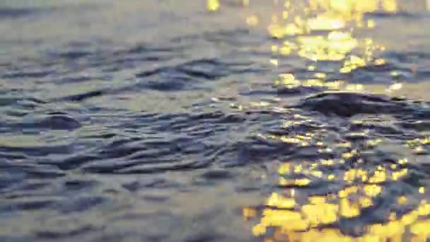 Close Waves Lapping Singular Peddle Sun Sets — Stock Video