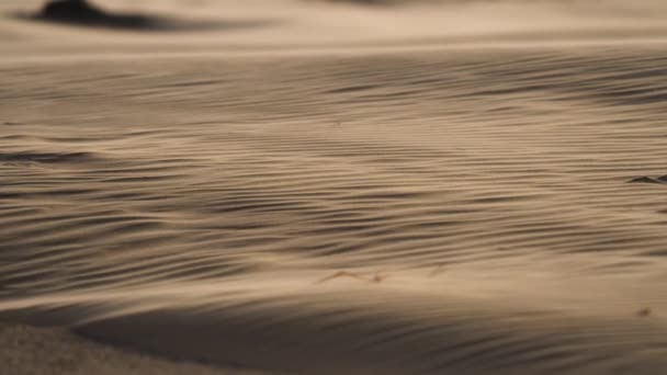 Szél Átfúj Homok Hullámzó Felszínén Homokszemeket Sodorva Magával Sivatagi Terület — Stock videók