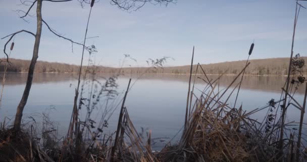 Foliage Frozen Lake Pennsylvania Calm Serene Shot Golden Hour Wide — Stockvideo