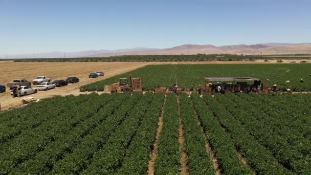 Aerial View Sunny Palm Springs Los Angeles Area California Produce — Αρχείο Βίντεο