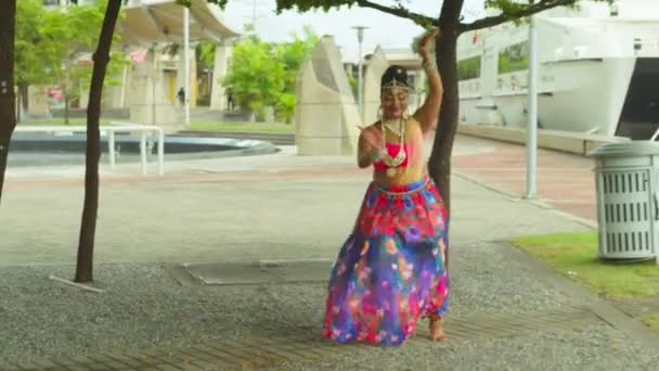 Taditional Dance Performed East Indian Girl Amazing Caribbean City Port — Stockvideo