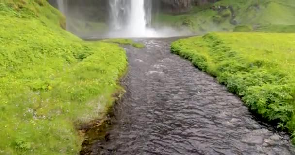 Seljalandsfoss Καταρράκτες Στην Ισλανδία Βίντεο Κλίση Προς Πάνω Αργή Κίνηση — Αρχείο Βίντεο