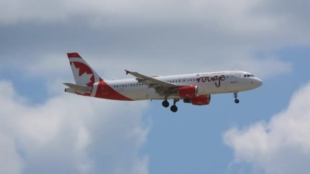 Снимок Отслеживающий Самолет Boeing 737 Air Canada Rouge Приближающийся Международному — стоковое видео