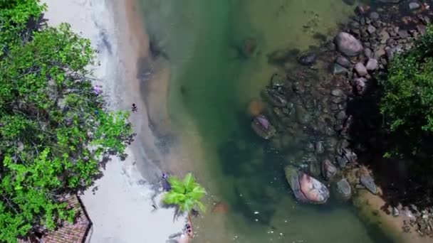 Aerial Birdseye Forward Unrecognizable People Beach Sunny Day Brazil Transparent — Vídeo de Stock