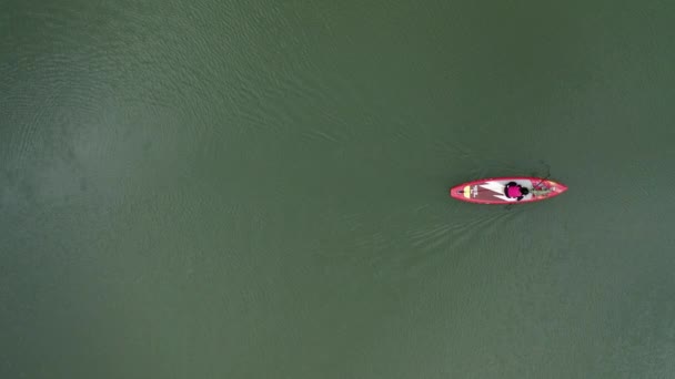 Top Drone Shot Person Paddling Board — ストック動画