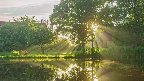 Steam Fog Rises River Burned Away Sun Rises Morning Time — Stock videók