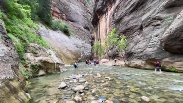 Tourists Hiking Massive Open Canyon Water — Vídeo de stock