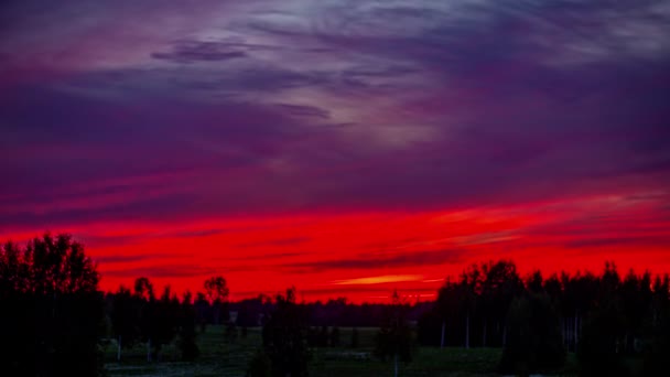 Crimson Cloudscape Silhouetted Forest Trees Nightfall Time Lapse — Wideo stockowe