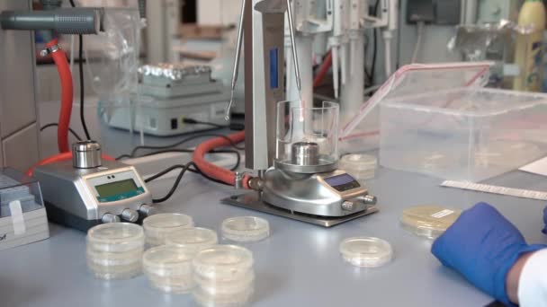 Bunsen Burner Used Laboratory Scientist Blue Gloves Sterilization — Stock Video