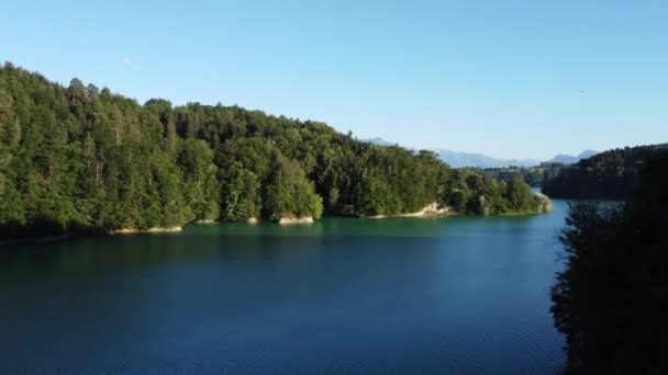 Drone Climbs Flies Lac Gruyere Beautiful Switzerland Deep Green Little — Stockvideo