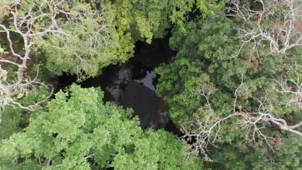 Great Closing Aerial One Many Famous Cenote Locations Riviera Maya — Stok video
