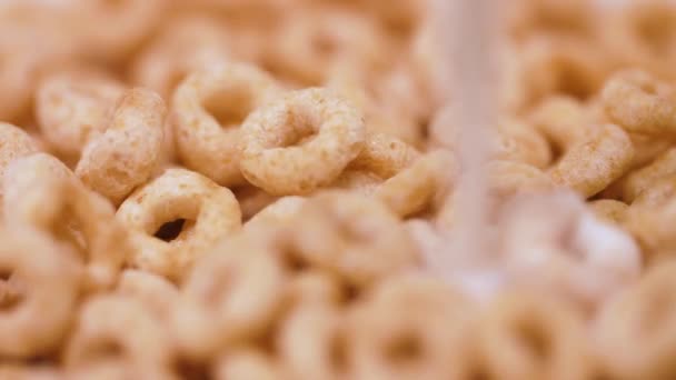 Pouring Milk Bowl Full Loop Shaped Breakfast Cereal — Vídeos de Stock