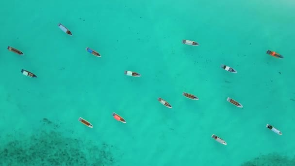 Nungwi Beach Zanzibar Tanzania June 2022 Boats Indian Ocean Sunny — Video Stock