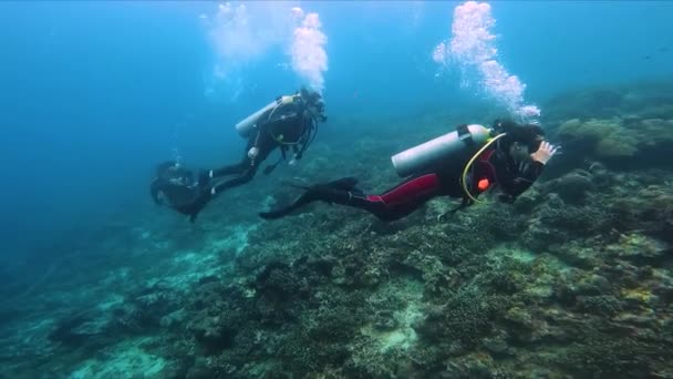 Three Scuba Divers Swimming Underwater Slow Fhd — Vídeo de Stock