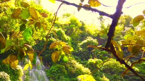 Занавес Водопадов Северной Части Котабато Филиппины — стоковое видео