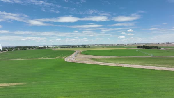 Aerial Wide Open Farm Lands Eastern Washington — Stok Video