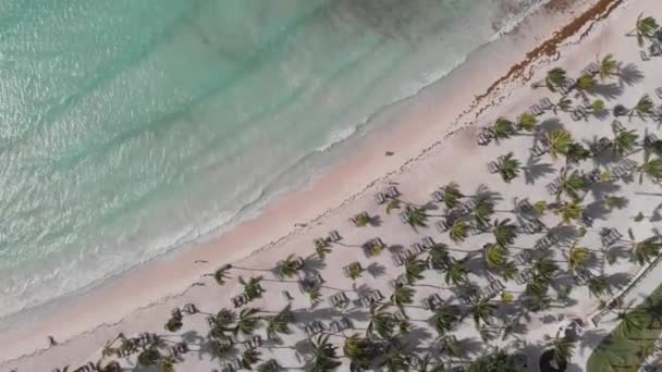 Downward Slow Circling Aerial Tropical Haven Riviera Maya Mxico Sparkling — Vídeo de Stock