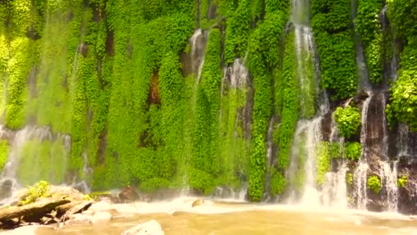 Extraordinary Curtain Waterfalls Situated North Cotabato — Stockvideo