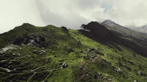 Aerial Drone Shot Grass Covered Mountain Top Small Trail Leading — Stock video