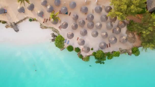 Nungwi Beach Zanzibar Tanzania Various Resorts Coast Indian Ocean Nungwi — Stok video