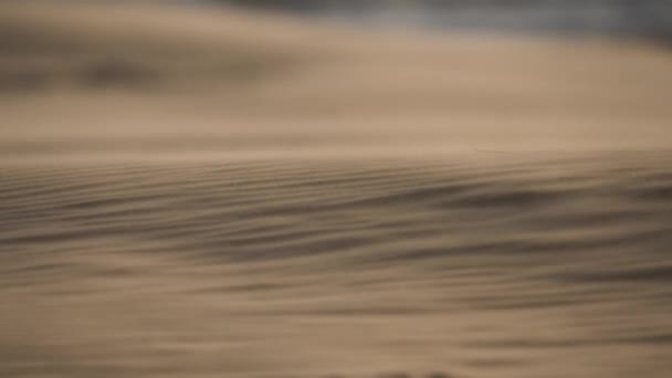 Desert Wind Blowing Sand Forming Abstract Ripple Pattern Surface Static — Stok video