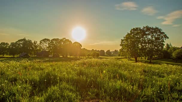 Static Shot Sun Going Rural Landscape Lush Green Vegetation Timelapse — Stock Video