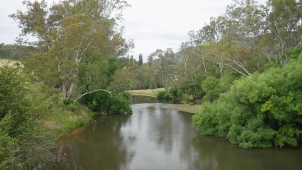 Upstream View Mitta Mitta River Township Mitta Mitta North East — Stok video