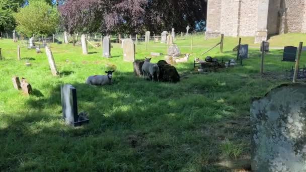 Graveyard Andrew Medieval Church Aysgarth Yorkshire Dales National Park — Video