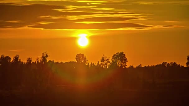 Sun Setting Vibrant Sky Countryside Fields Trees Timelapse — Video Stock