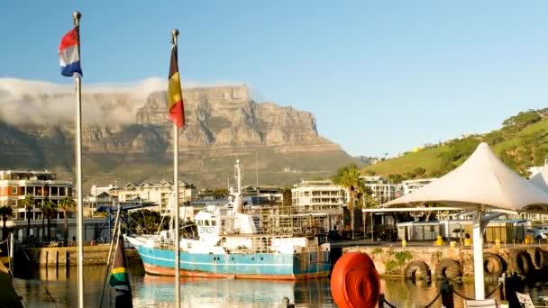 Flags Flapping Marina Waterfront Table Mountain Views — Stockvideo